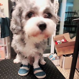 Meet your Posher, Zhangxin